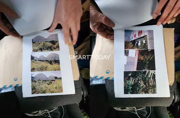 (왼쪽부터) 최모씨가 용역들로 인해 고사돼 재산상 피해를 봤다고 주장하는 묘목과 파괴된 화원. 출처=김종현 기자