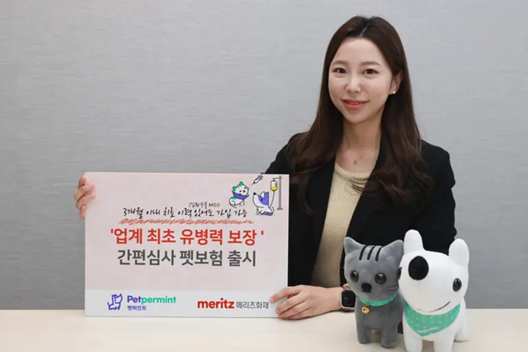 [출처: 메리츠화재]