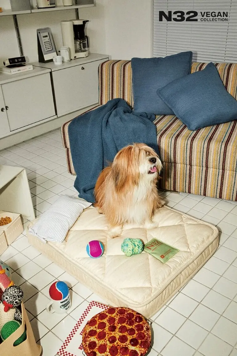 시몬스가 펫 매트리스 ‘N32 쪼꼬미’를 출시했다. (사진=시몬스)