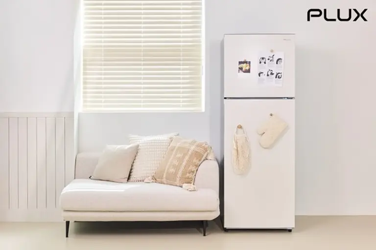 롯데홈쇼핑은 롯데하이마트의 1인 가전 브랜드 