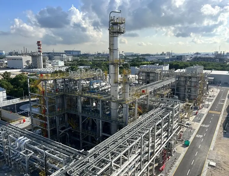 DL케미칼의 자회사 카리플렉스가 세계 최대 규모의 폴리이소프렌 공장을 준공했다. (사진=DL케미칼)