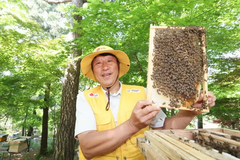  LG가 조성한 토종 꿀벌 서식지에서 김대립 명인이 꿀벌통을 들어 보이고 있다. (제공 LG)
