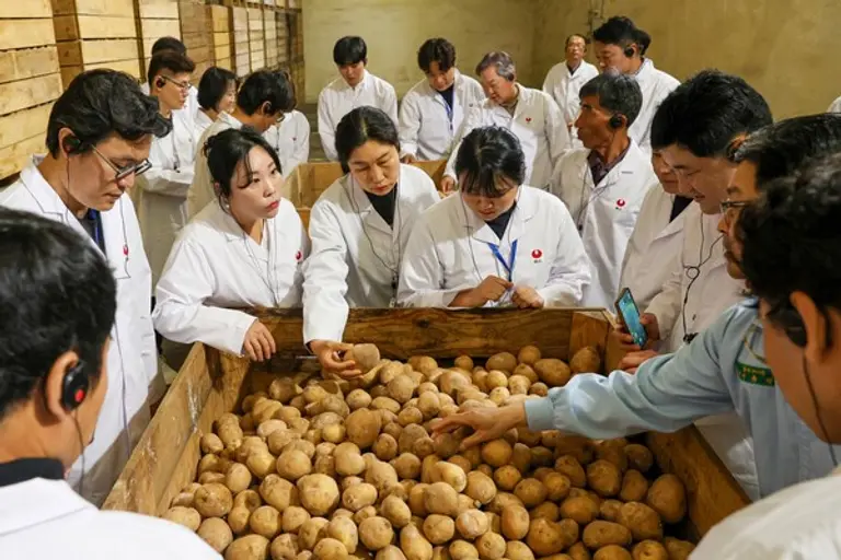 사진 왼쪽 세 번째부터 정지현(충남 서산), 안현정(세종특별자치시), 이혜수(충남 서산) 씨 