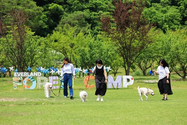 에버랜드 반려견 동반 비타민 캠프 