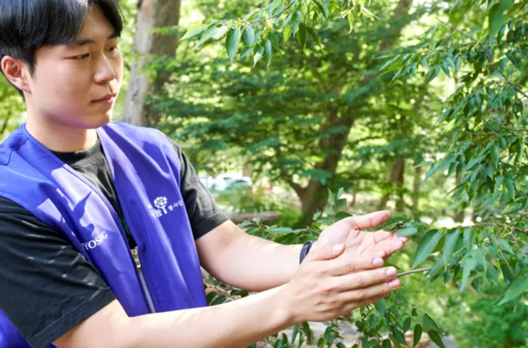 효성그룹 임직원들이 멸종위기 1급 곤충인 비단벌레를 자연에 방사하며 생태계 복원 활동에 동참했다. (사진제공=효성)