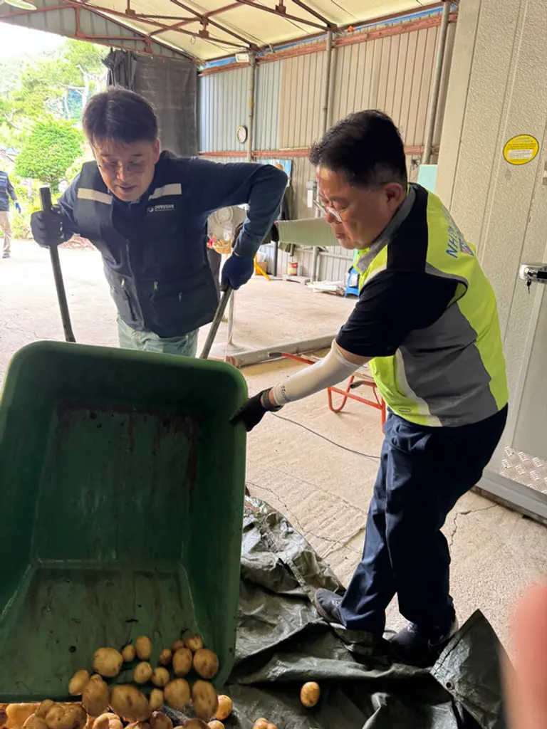 한국재정정보원 윤석호 원장(왼쪽)과 NH농협은행 공공금융부 김일섭 부장(오른쪽)이 경기도 연천군 새둥지마을에서 감자수확 작업을 하고 있다.