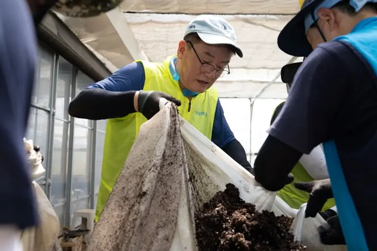 최동하 수석부행장을 비롯한 농협은행 임직원들이 22일 충남 홍성군의 피해농가를 찾아 수해복구를 하고 있다.