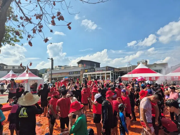 2025 화천 토마토 축제를 즐기는 모습