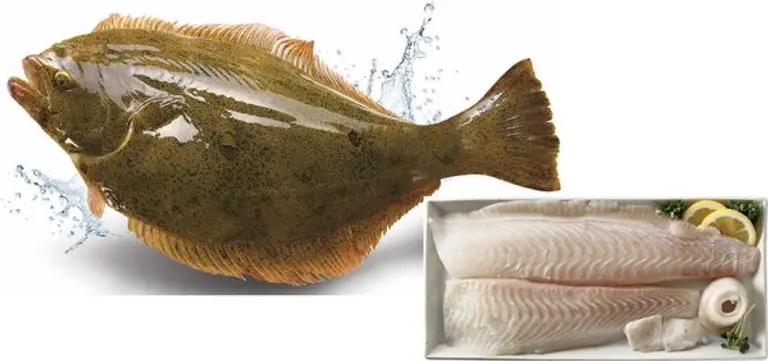 이마트가 광복절 연휴 광어를 반값에 판매한다. (사진=이마트)