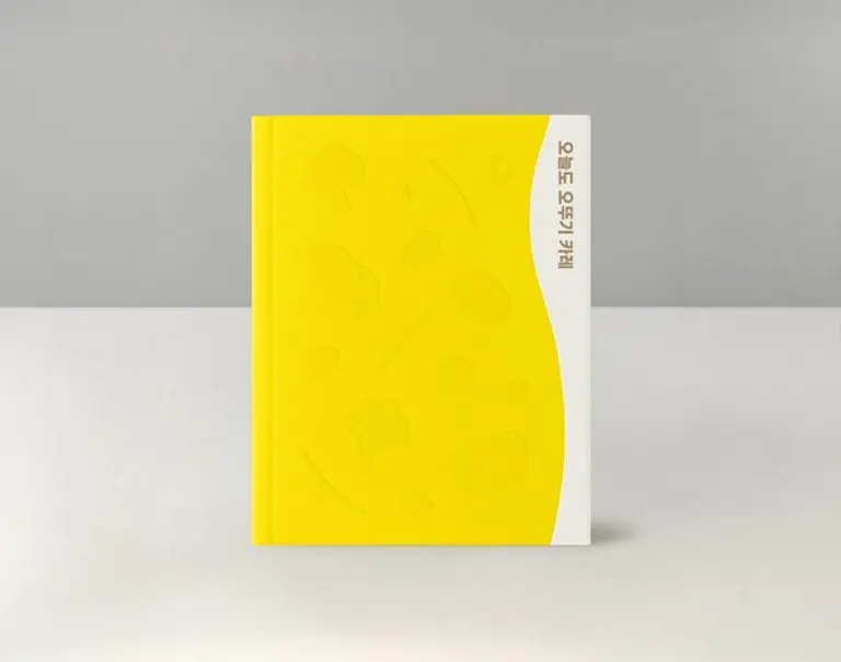 오뚜기 카레 브랜드북 