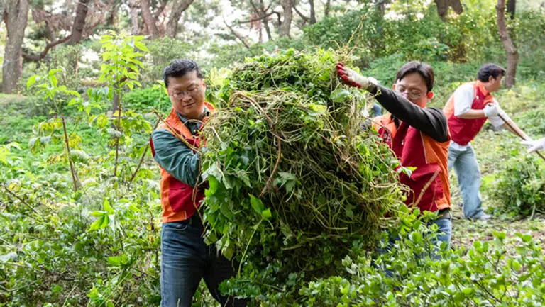 지난 1일 남산공원 소래풀군락지에서 유해식물 제거 활동을 펼치고 있는 이호정 SK네트웍스 대표이사(왼쪽). (제공 SK네트웍스)