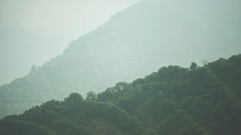 사진: 블루보틀 커피 제공