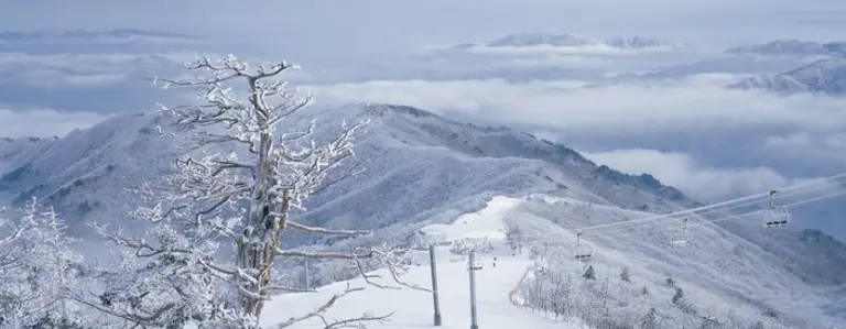무주덕유산리조트 실크로드 슬로프. 출처=부영그룹