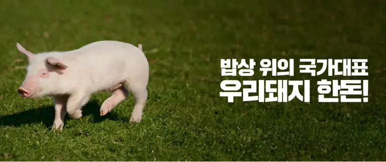 이미지 한돈자조금관리위원회