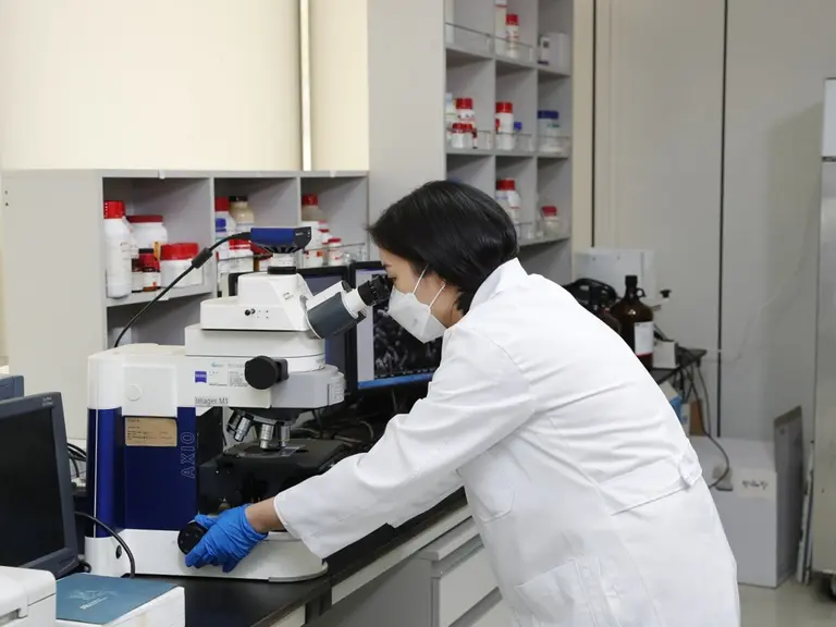 현미경으로 균주를 관찰하고 있는 hy 중앙연구소 연구원. (사진=hy)