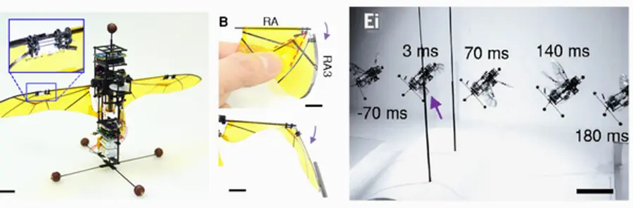 자료: 과기정통부