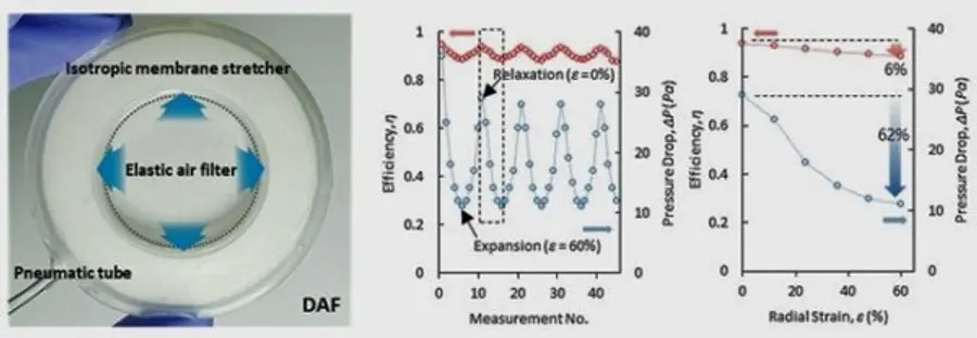 자료: 고승환 교수 연구팀