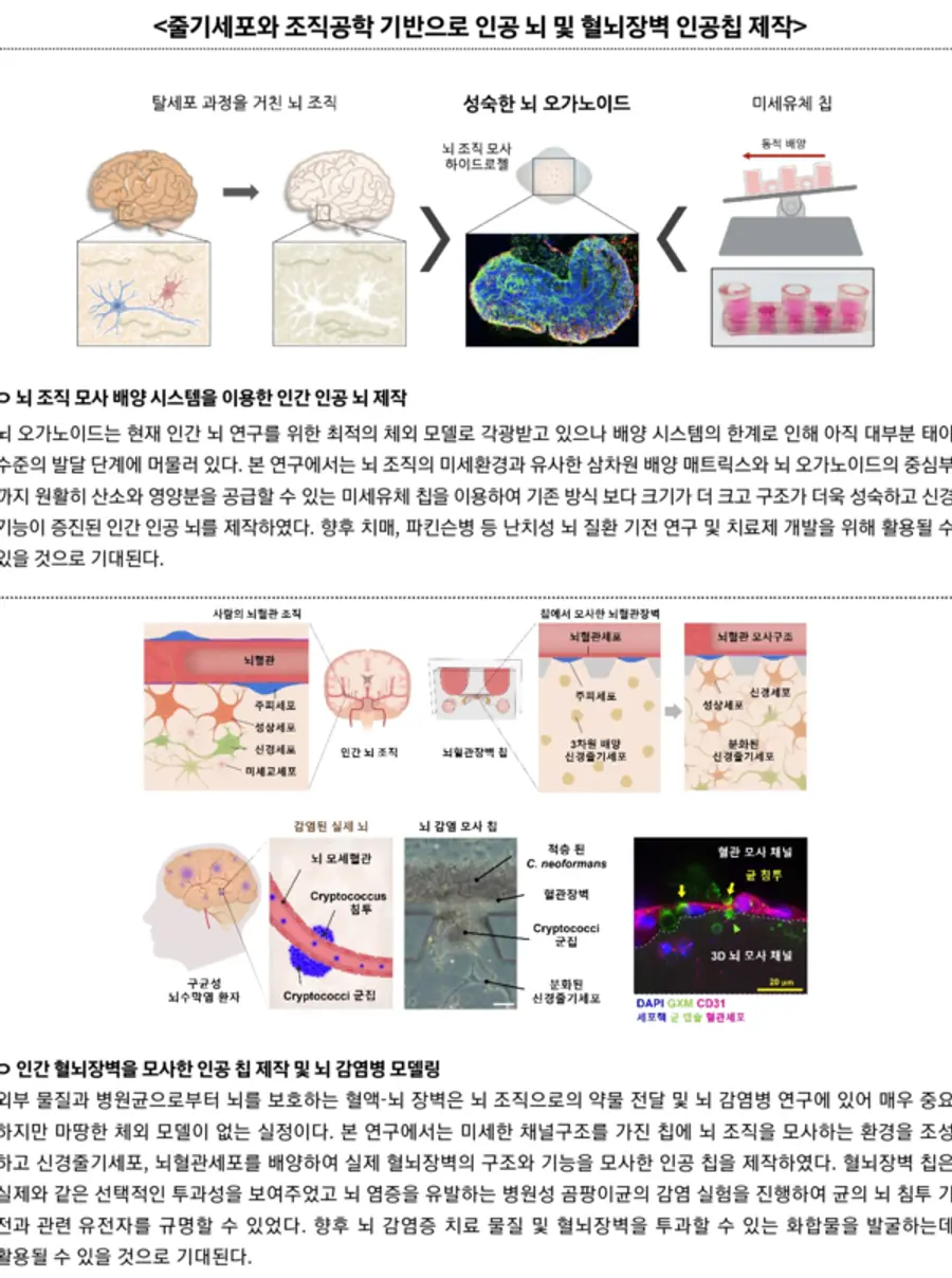 자료: 과기정통부
