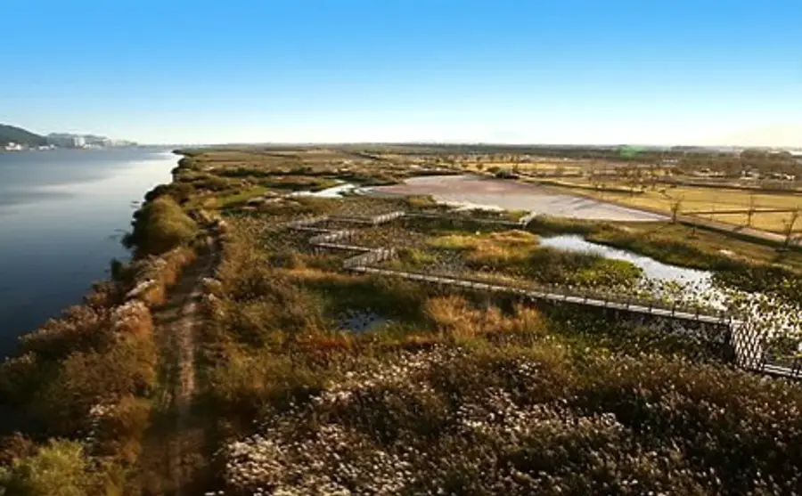 자료사진: 부산시