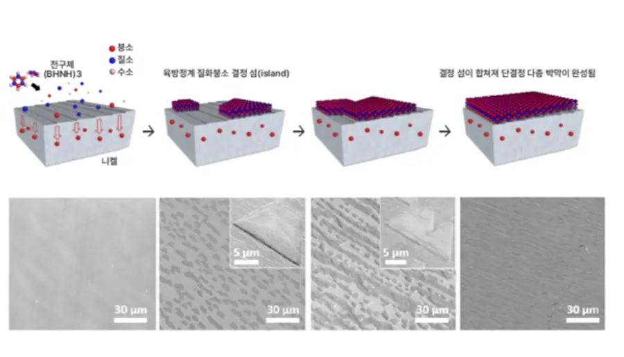 ◇다층 다결정 형태 육방정계 질화붕소가 합성되는 과정 결정의 씨앗 역할인 핵이 자라 만들어진 결정 섬들이 합쳐져 다층 다결정 육방정계 질화붕소가 합성된다. (그림설명 및 그림제공 : UNIST 신현석 교수)