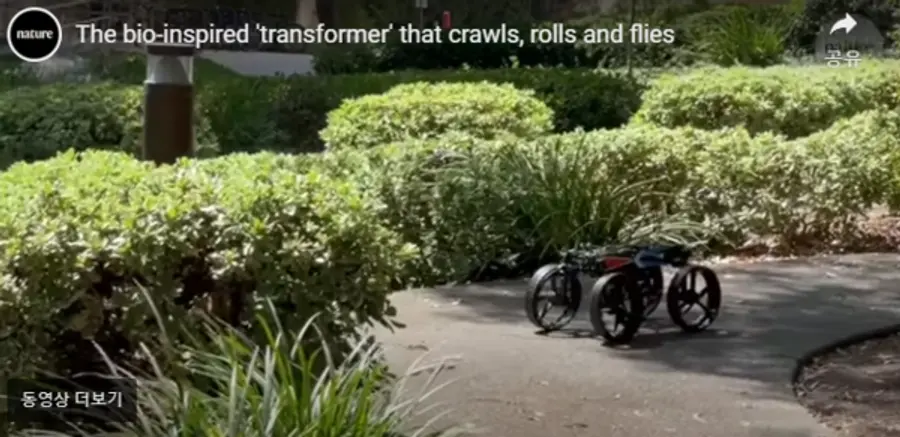 칼텍이 개발한 만능로봇이 걷고 있다.