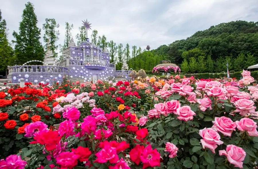장미원 내 빅토리아가든에서 바라본 장미성