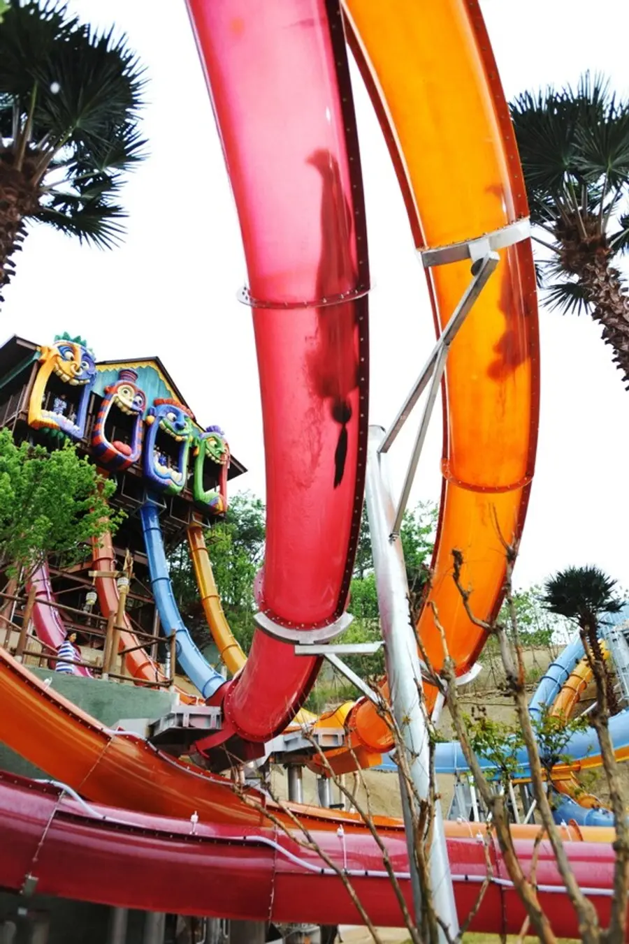 캐리비안 베이 수직낙하후 360도 역회전을 경험하는 아쿠아루프