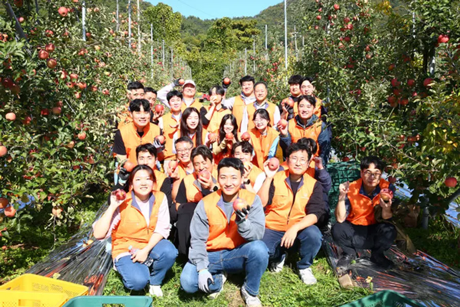 한화 임직원들이 경기 포천시 영중면 관내 사과농가에서 농촌 일손돕기 봉사활동을 진행했다. (사진제공=한화)