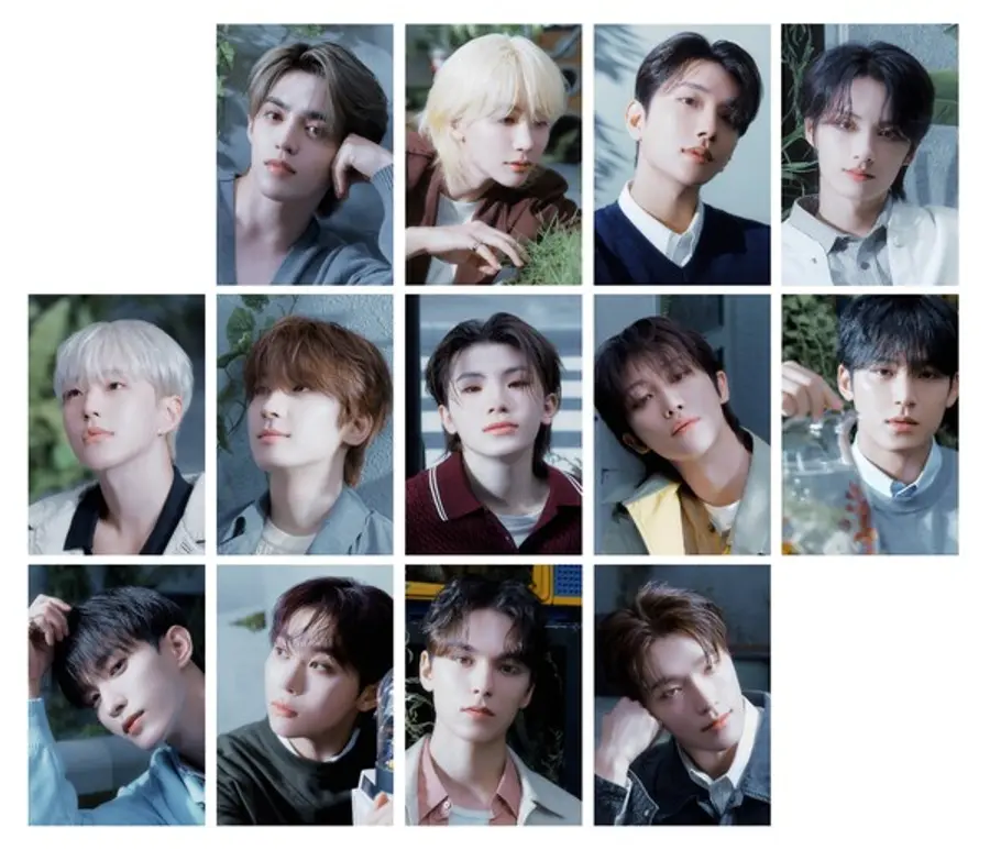 아이돌 그룹 세븐틴이 산불피해 지역 지원을 위해 성금 10억원을 기부했다. (사진=희망브리지)