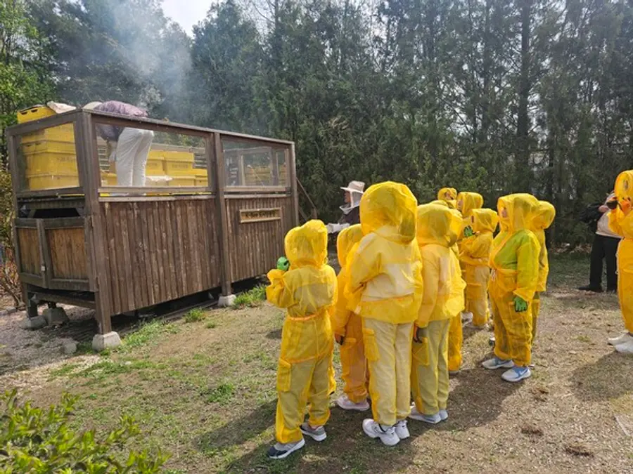 벌통 속 꿀벌의 움직임을 관찰하는 아이들 [출처: KB국민은행]