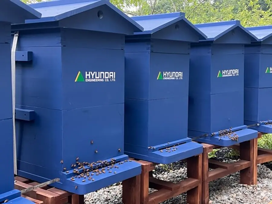 서울 강북구 북서울꿈의숲에 조성된 ‘꿀벌 서식지’ 내 마련된 꿀벌 거주지 (사진제공=현대엔지니어링)