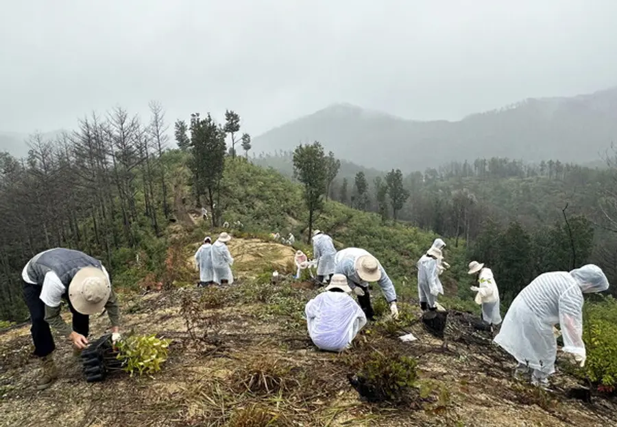 '도토리봉사단' 봉사자들이 경북 울진 산불 피해 지역에서 묘목을 식재하며 산림 복원 작업을 진행하고 있다. (사진제공=희망브리지)