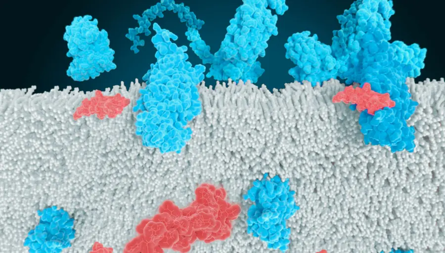 출처=카일레라 테라퓨틱스 홈페이지