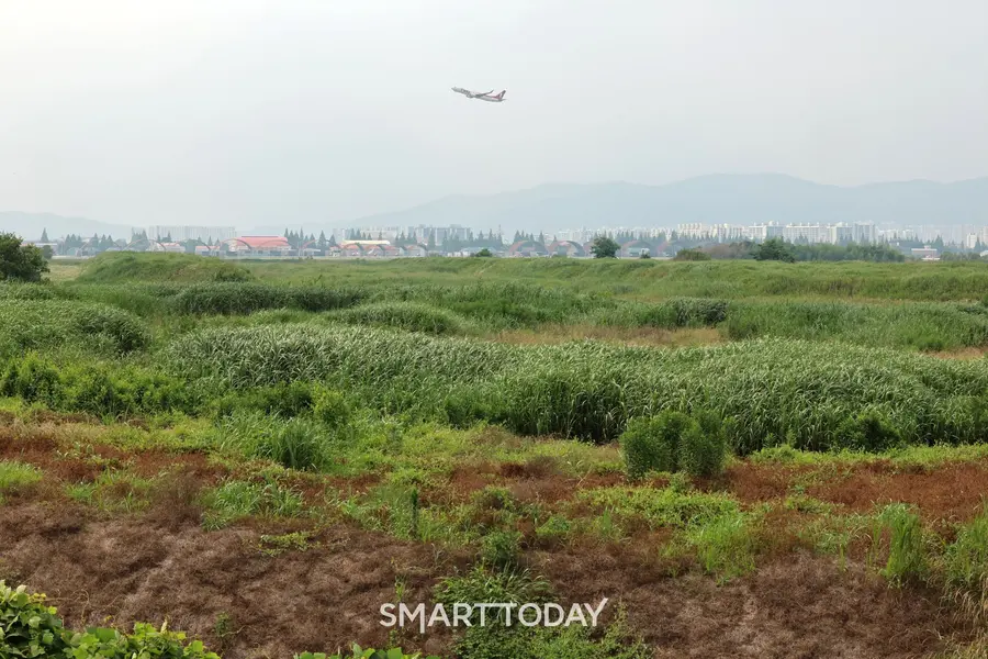 '호남 반도체 공장' 부지로 선정된 광주 군 공항 (사진=연합뉴스)
