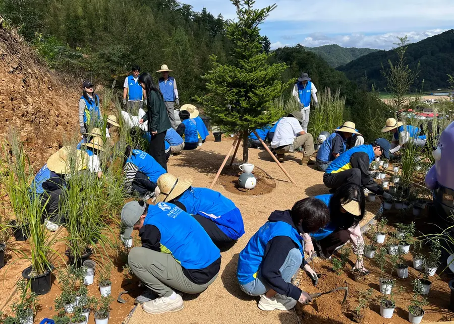 신한은행, 멸종위기 구상나무 숲 SOL방울 FOREST 2차년도 식재 행사 개최. 신한은행 제공
