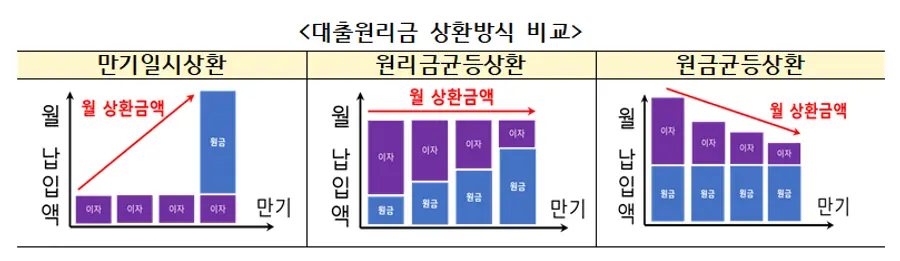 금융감독원 제공.